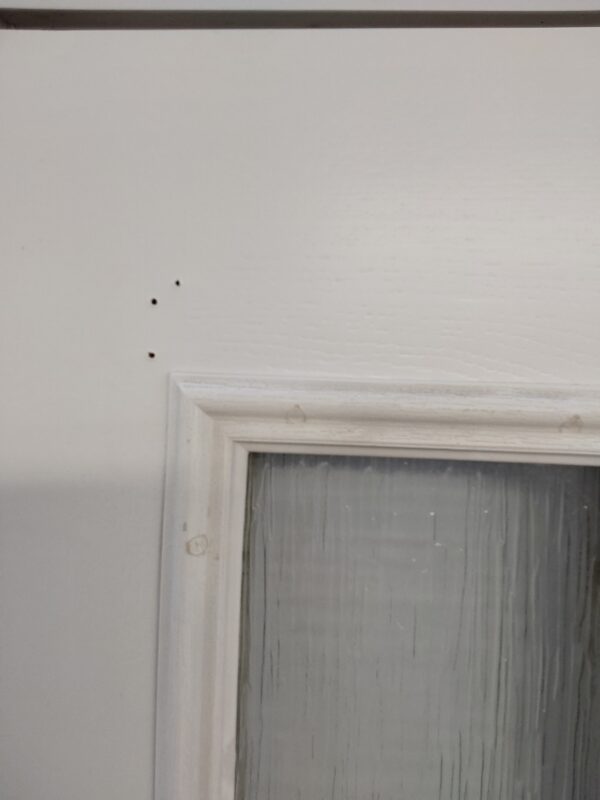 Used White Composite Door 875mm x 2075mm 0078 - Image 7