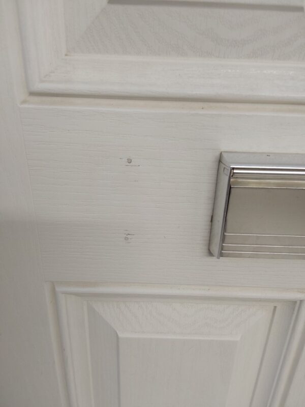 Used White Composite Front Door 920mm x 2100mm (Reduce To 890mm) 0455 - Image 10